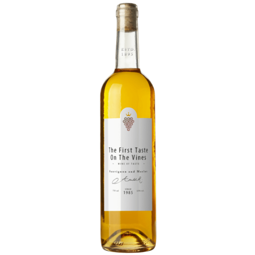Rose Majeur Champagne