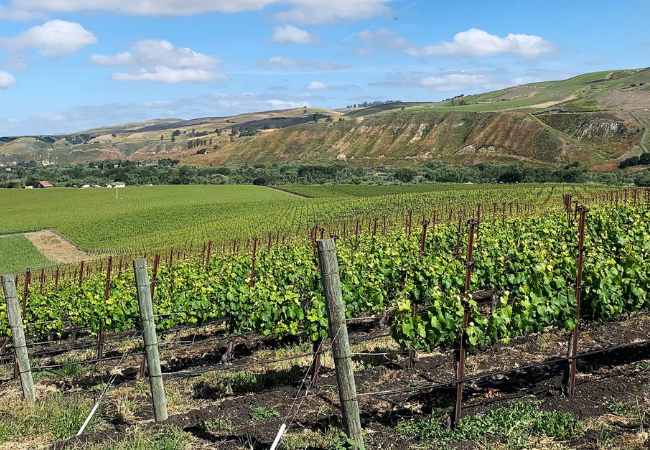 Sta. Rita Hills wine tasting